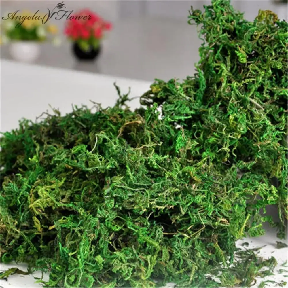 100g/bag Nature dry real green moss Plants decorative Flower pot artificial turf silk Flower accessories for Bonsai decoration