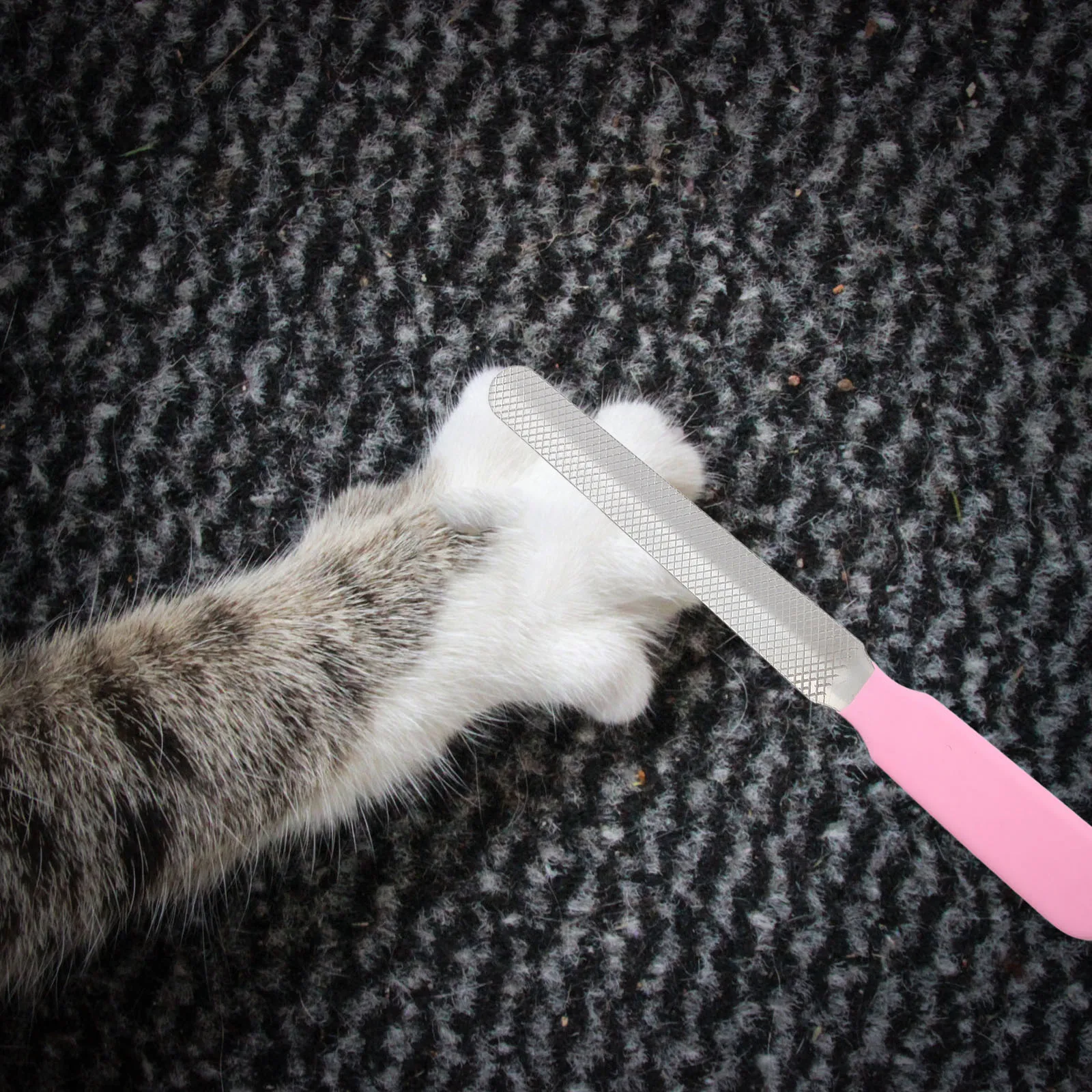 

Multifunction Pet Hammock for Dogs Durable Polyester Hanging Bed Easy Install Safe Breathable Home Use Nail Trimming Accessories