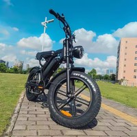 Adults Electric Bike  250W 750W 1000W  48V15AH Removable battery Fat Tire 20\