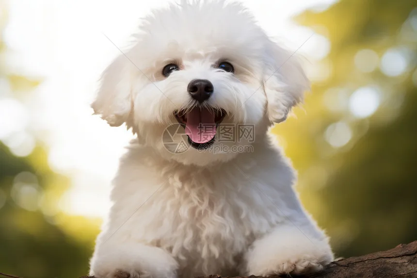 

RC car metal upgrade girder beam parts fit for MN 1/12 TK300 MN300 remote control car accessories