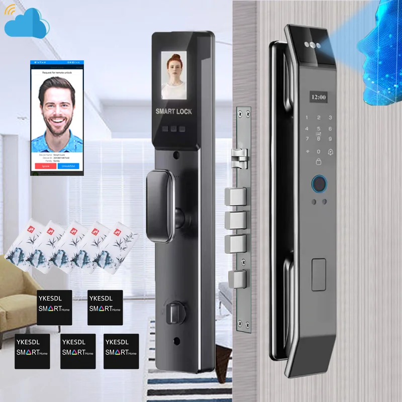 Simple Version D14P 3D Face Recogntion Smart Door Lock Wishome APP Control Fingerprint Passwod Electronic Door Lock With Camera