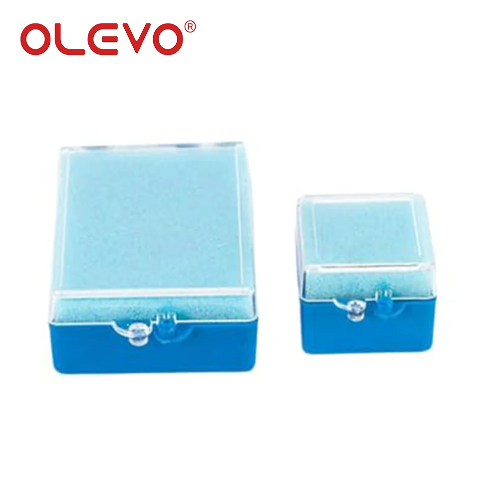 OLEVO 20/50 Pcs Denture Sponge Retainer Case Plastic Dental Crown Veneer Fake Teeth Storage Box with Foam Oral Hygiene Tools