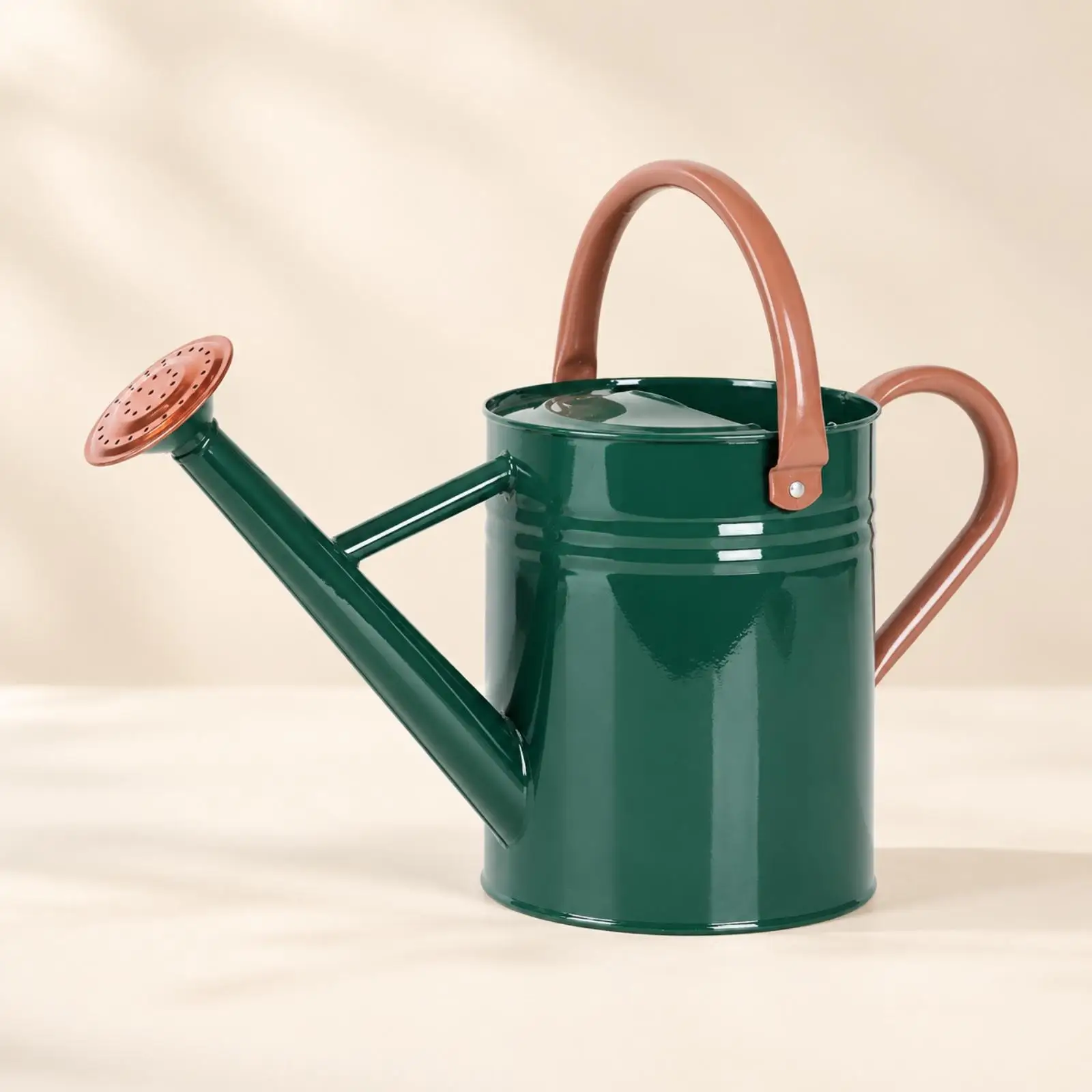 Galvanized Iron Watering Can Two-handleHandle 4 L Garden Watering Can Sturdy Indoor Outdoor for Flower Beds, Patio