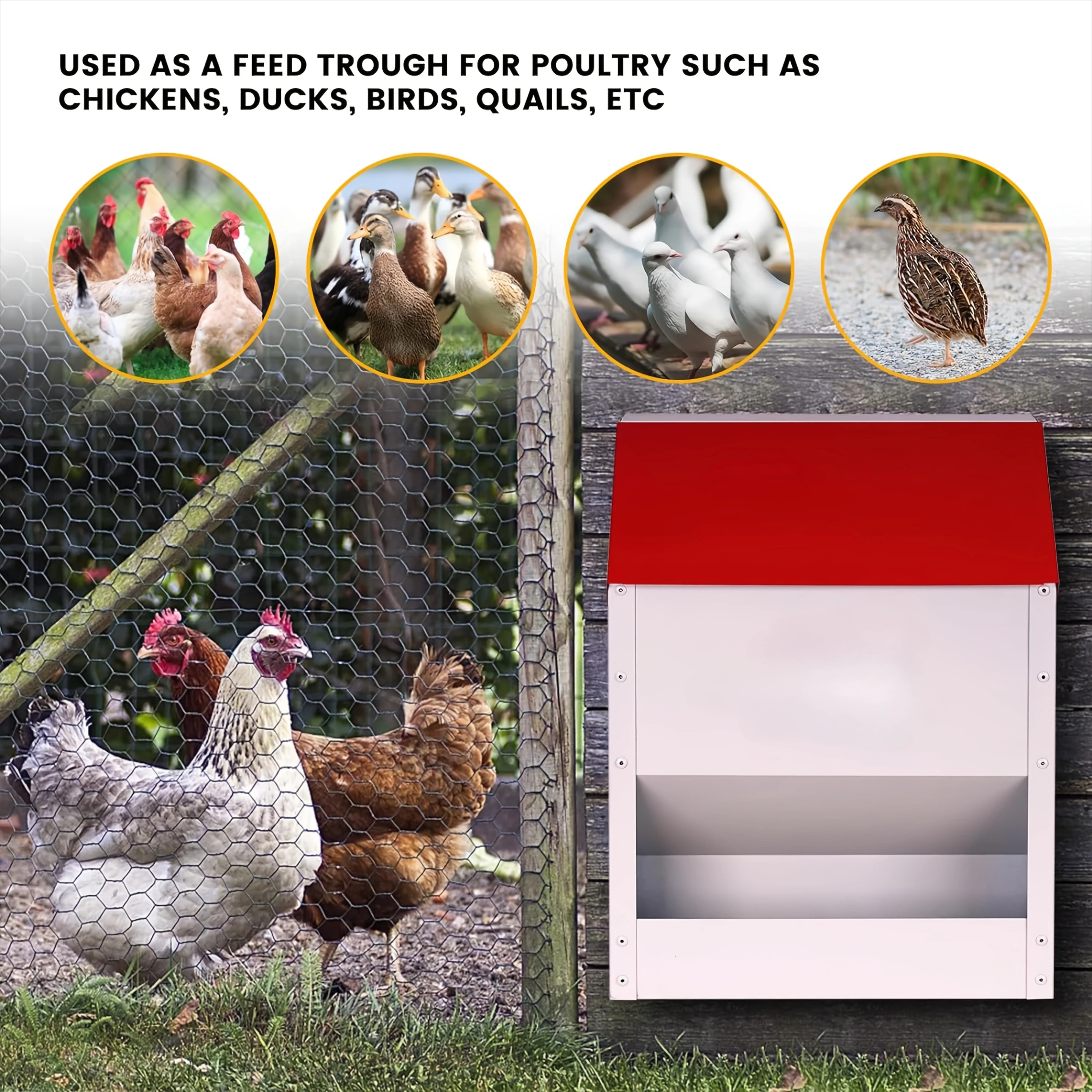 Self-Operating Metal Chicken Feeder with Waterproof Lid Galvanized Wall-Mounted Design Small Animal Supplies Pet Accessories