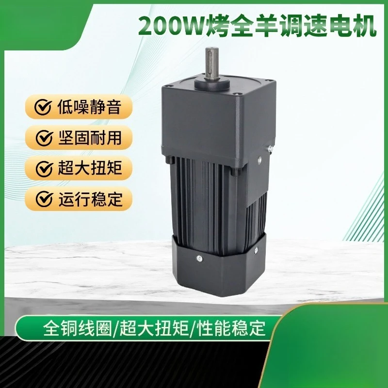 220V Single‑Phase Speed‑Reduction Motor 6IK200RGN‑C Pure Copper Adjustable Gearbox For Whole Roast Lamb Spit