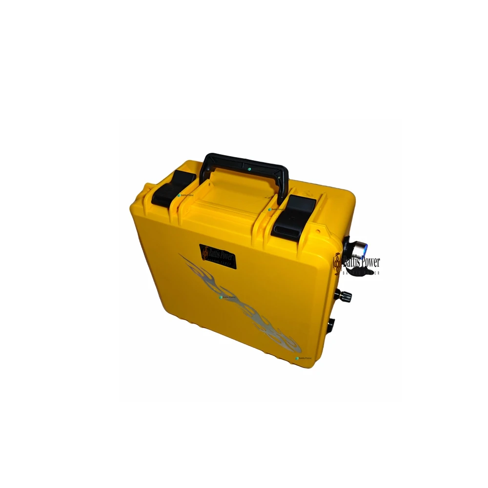 

24V/36V/48V optional! 100Ah-300Ah portable battery with BMS, supporting USB output external power supply