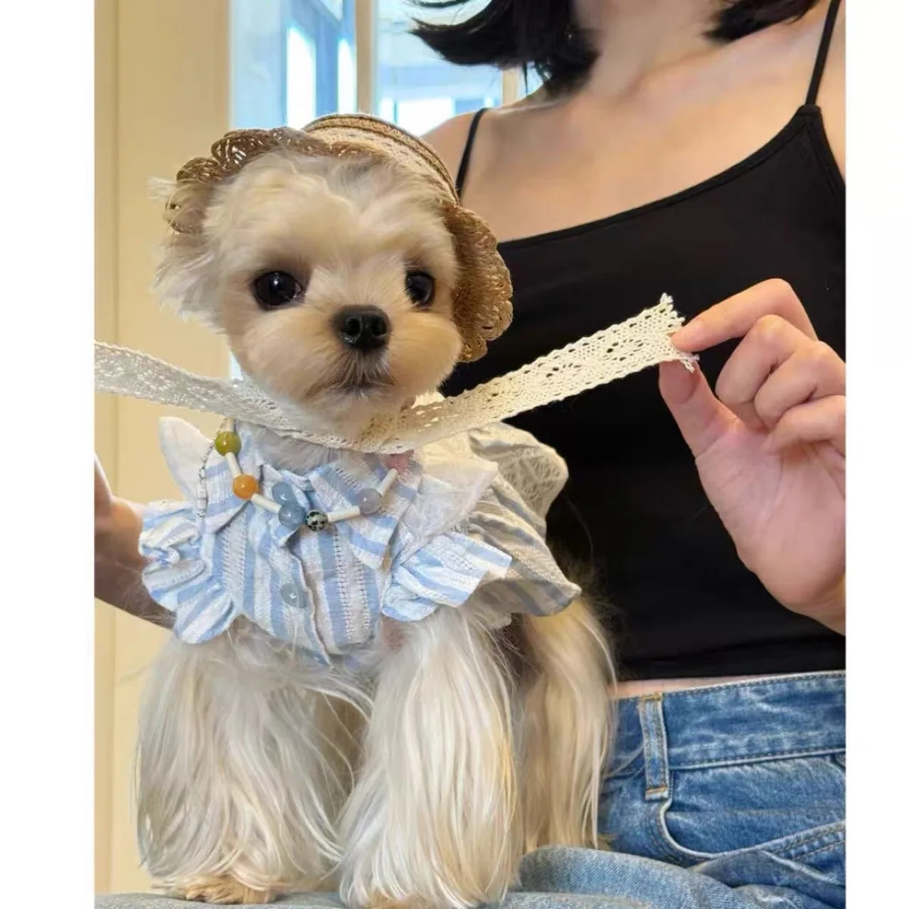 

HomeProducts Pet Clothes Summer Princess Sleeve Pumpkin Skirt Puff Skirt Thin Shirt Small Dog Maltese Shih Tzu Yorkshire Terrier