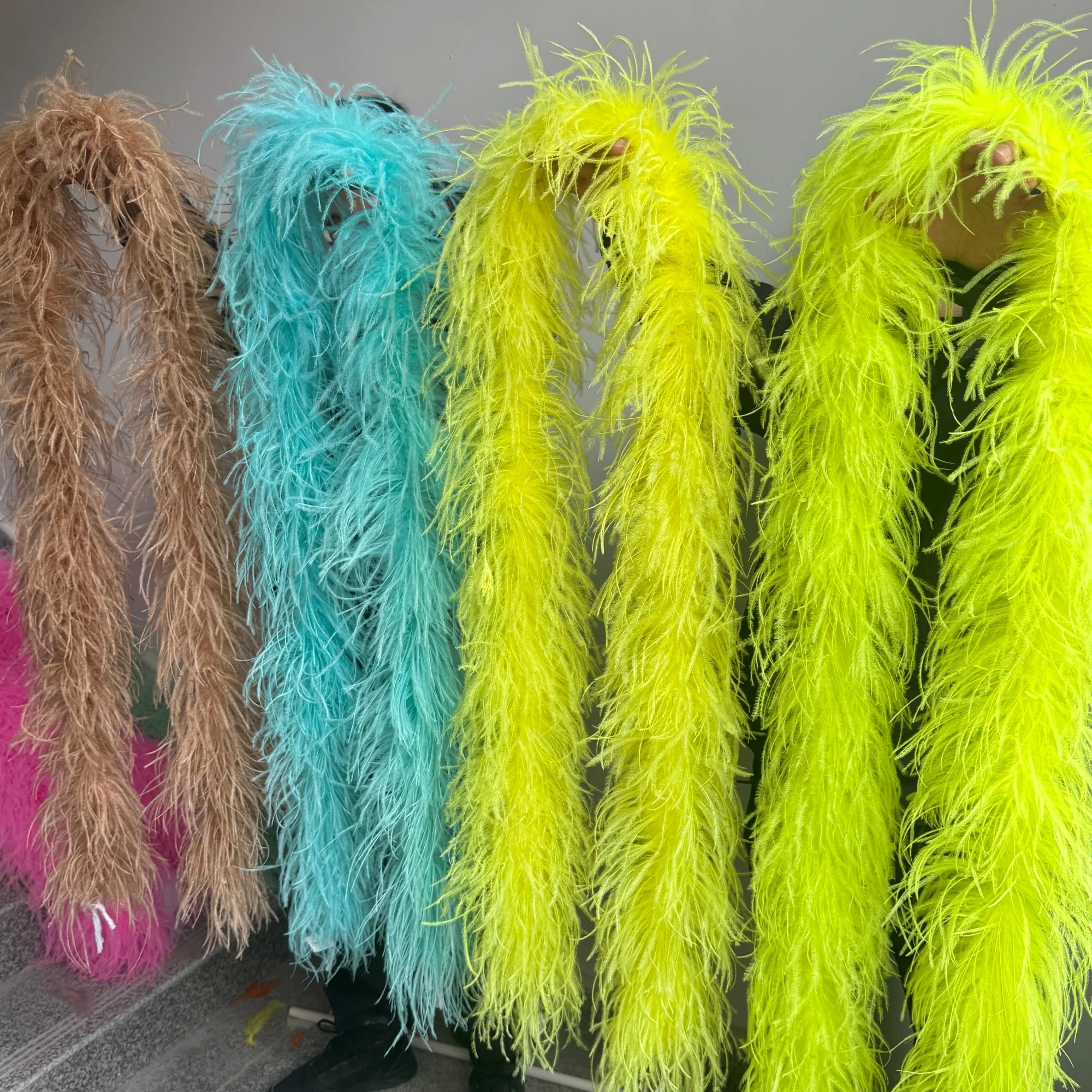 2M Natural Ostrich …