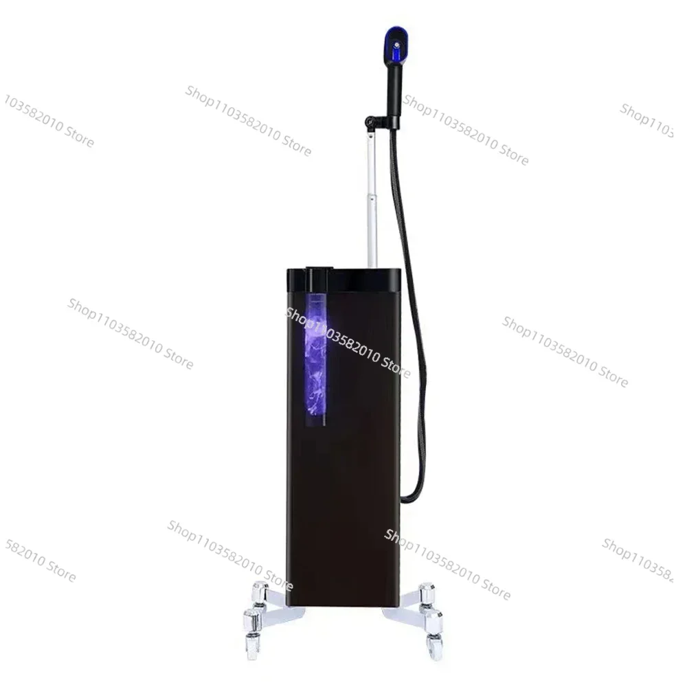 Wholesale Price Professional Negative Ion Micro Mist Hair Steamer Standing Hair Care Ionic Spray Type For Beauty Salon Use