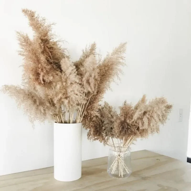 Pampas Grass Decor Fluffy Dried Flowers Indoor Natural Flowers Decor Bouquet Boho Home Living Room Christmas Decoration 5pcs