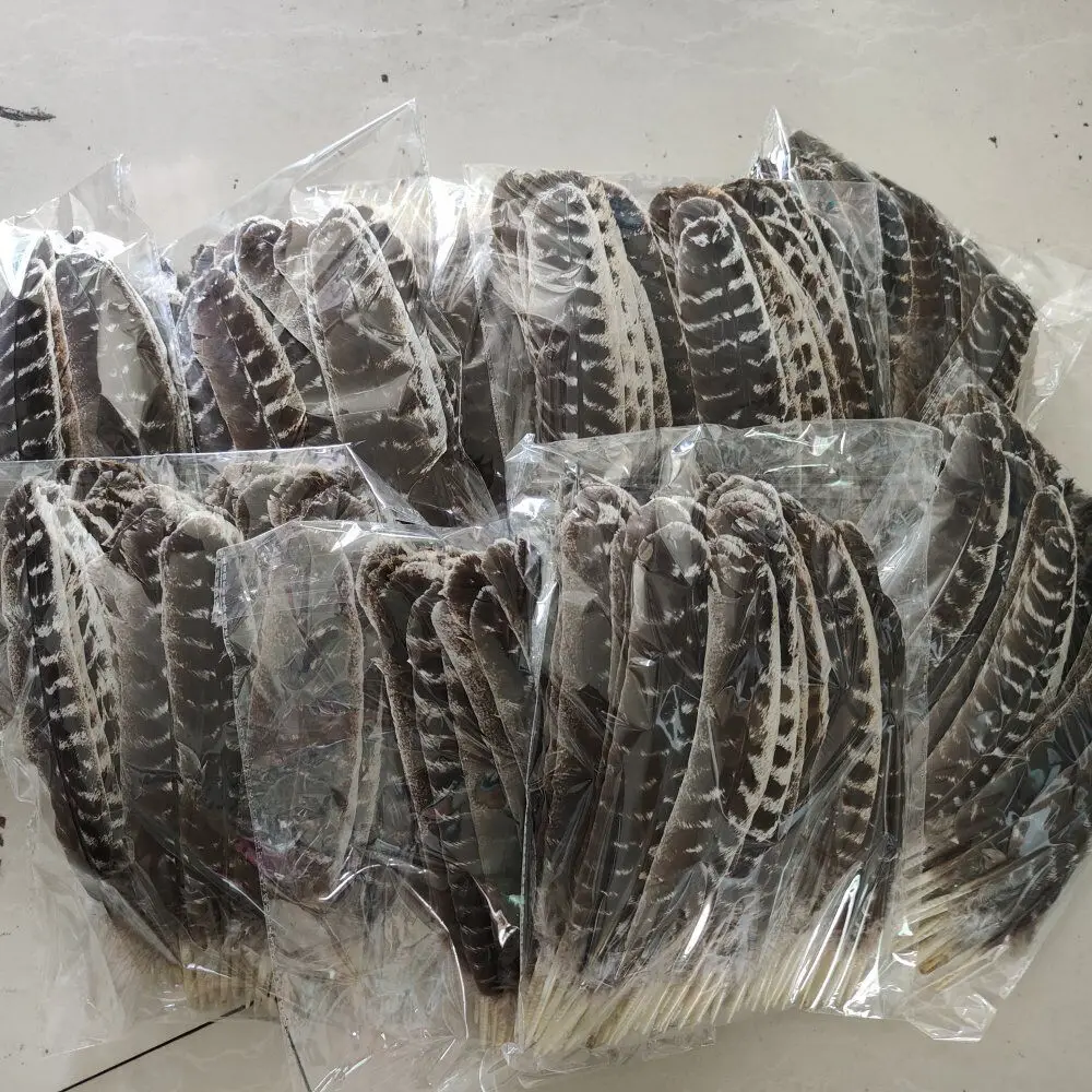 30-33CM/12-13INCH Long Super Quality And Wide 6CM Turkey Wings Feathers