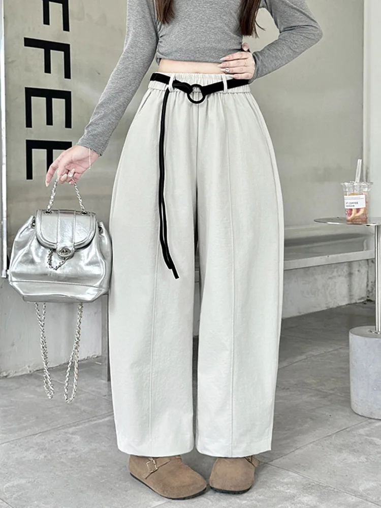 Calças Casuais de Cintura Alta e Pernas Largas para Mulheres, Novas para Outono e Inverno, Slimming Versáteis, Calças Harlan Coreanas de Nove Pontos