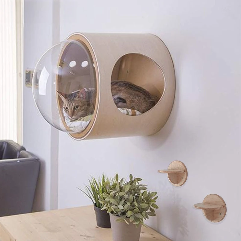 Nouveau nid mural pour chat en forme de capsule spatiale – Économique, mignon et transparent pour l'esthétique de la maison – Idéal pour grimper et se reposer