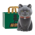 black cat
