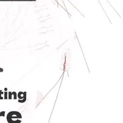 20-шт-миниатюрная-лампа-3-4-мм-6-В-12-В-Эдисон-накаливания-рисовая-миниатюрная-лампа-накаливания