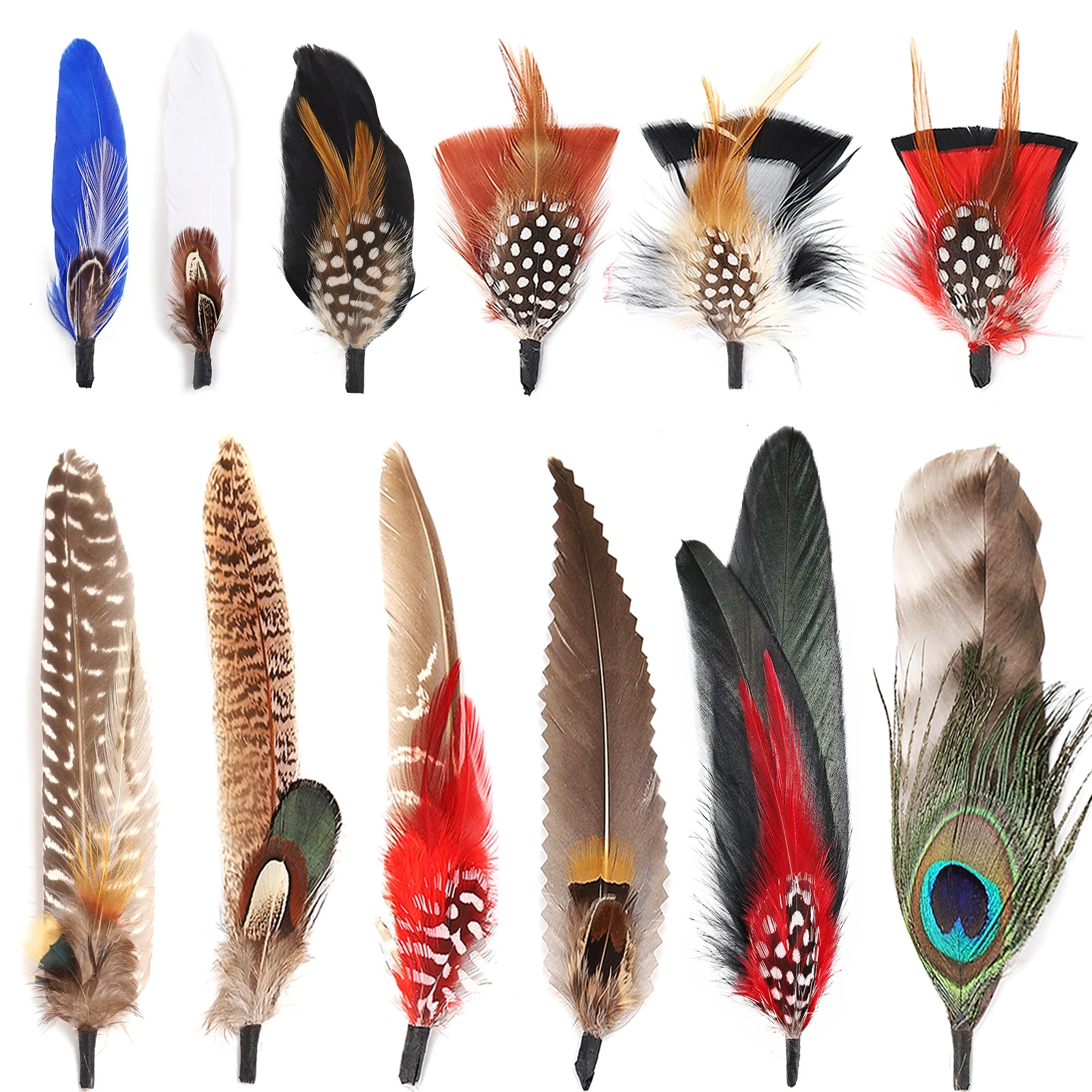10-12 Pcs Natural Peacock Feathers Colorful Real Feathers for Fedora Cowboy Party Hats DIY Crafts