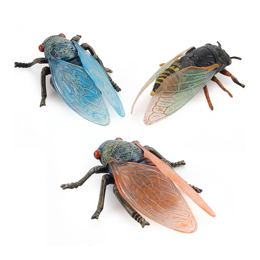 Realistic Plastic Cicada Insect Model Figures Montessori Life Cycle Cicadas  Animal Figurines Collection Science Education Toys