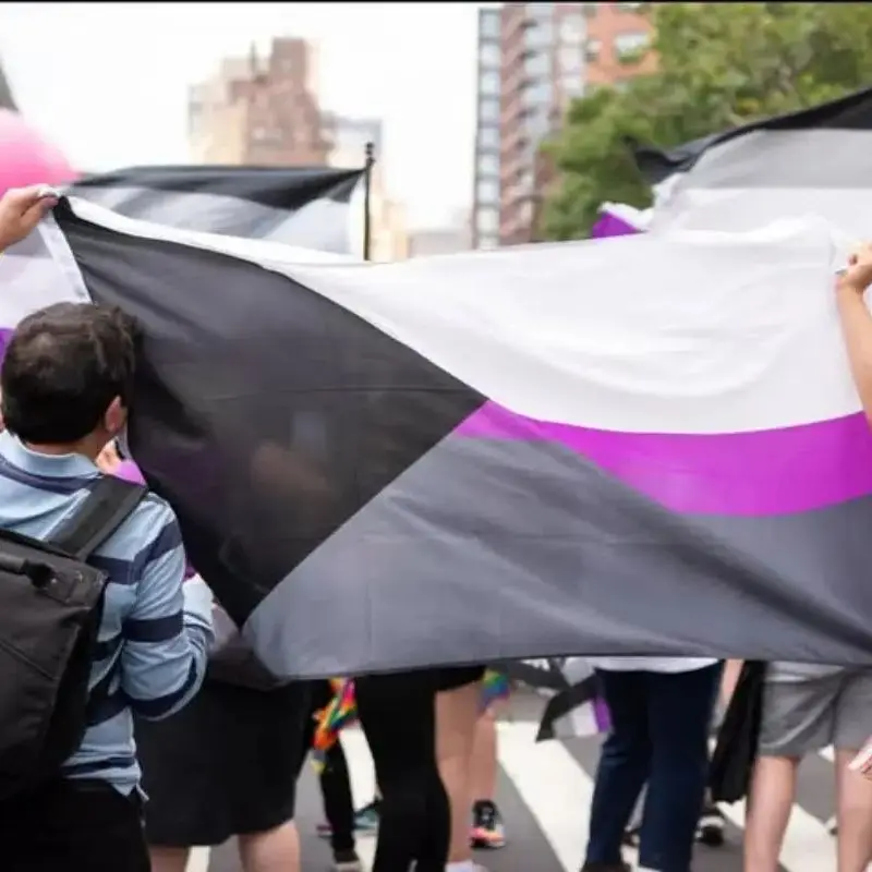 Demisexual Demi Sexual Human Rights Flag LGBTQIA Demisexuality Gender Rainbow Banner with Brass Grommets Polyester  Pride Banner