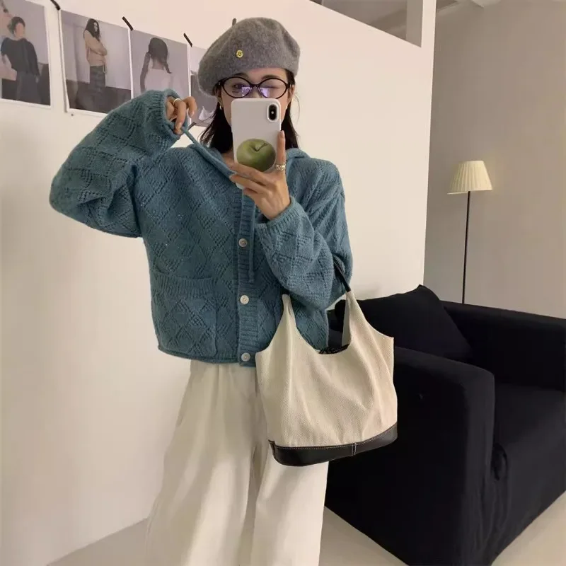 Cardigan da donna con cappuccio lavorato a maglia vestibilità ampia Ins delicato ed elegante stile coreano scava fuori tutto-fiammifero Harajuku autunno capispalla alla moda accogliente