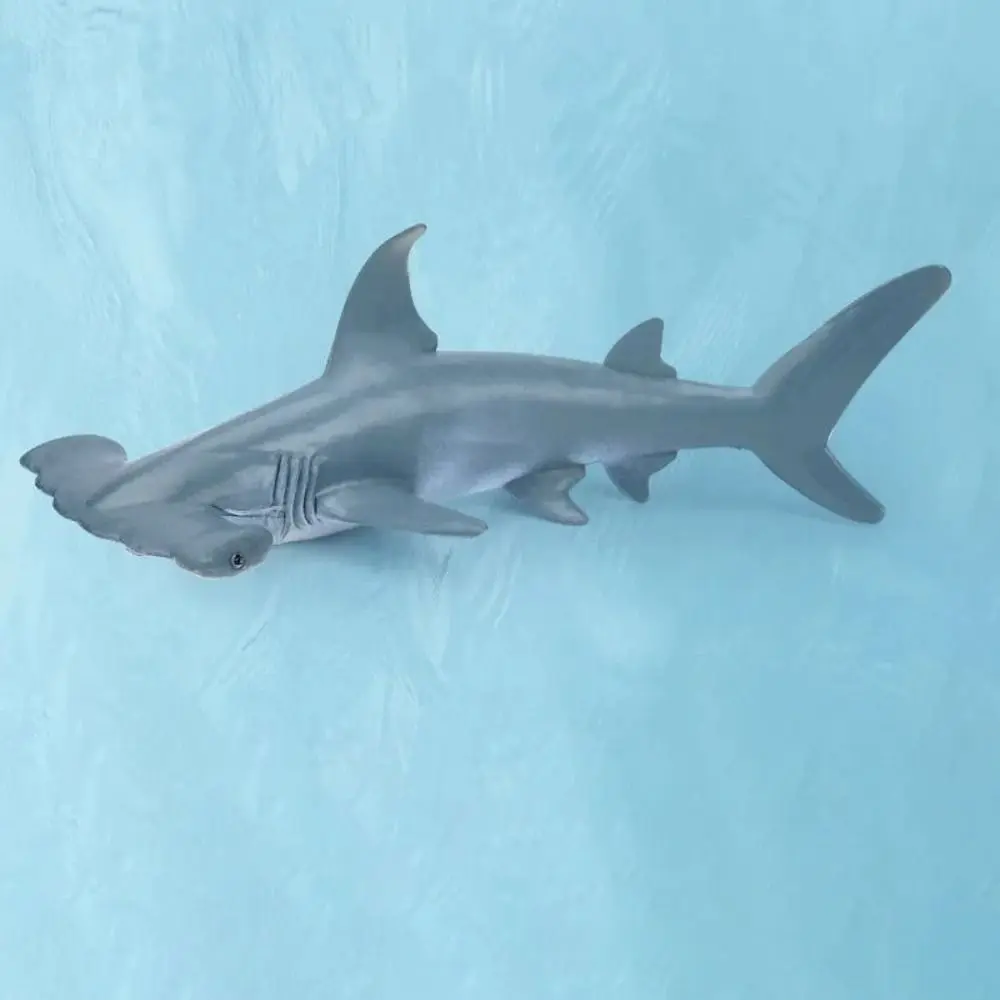 Gift Marine Animals Simulation Sea Life PVC Shark Cachalot Whale Figurines Animal Model Ocean Action Figures