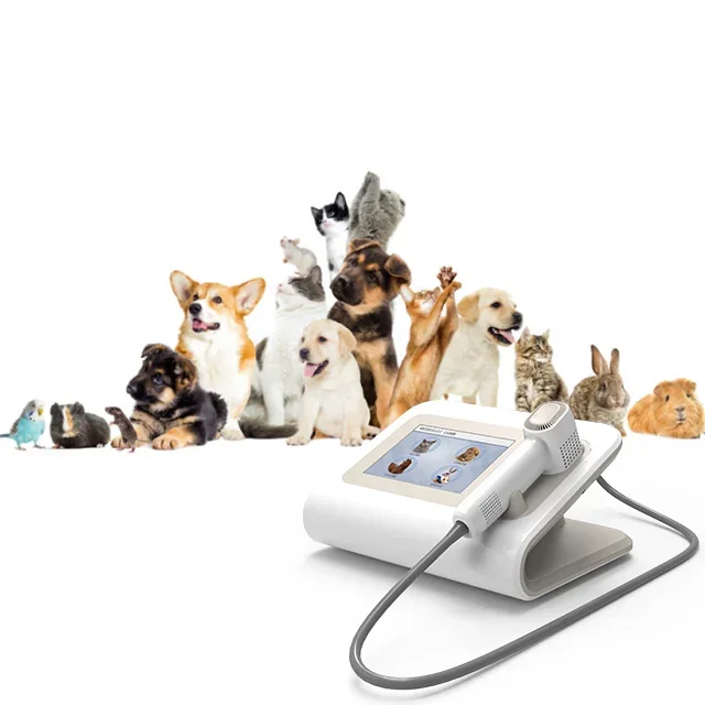 Newest Class Iv Laser Therapy Diode 980nm Veterinary Low Level Treat Animals and Pets without Side Effects