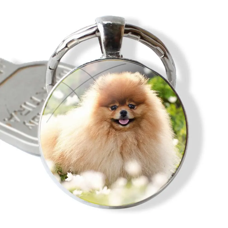 Pomeranian dogs dog Keychain Handmade Glass Cabochon Key Ring Holder Pendant Key Chains