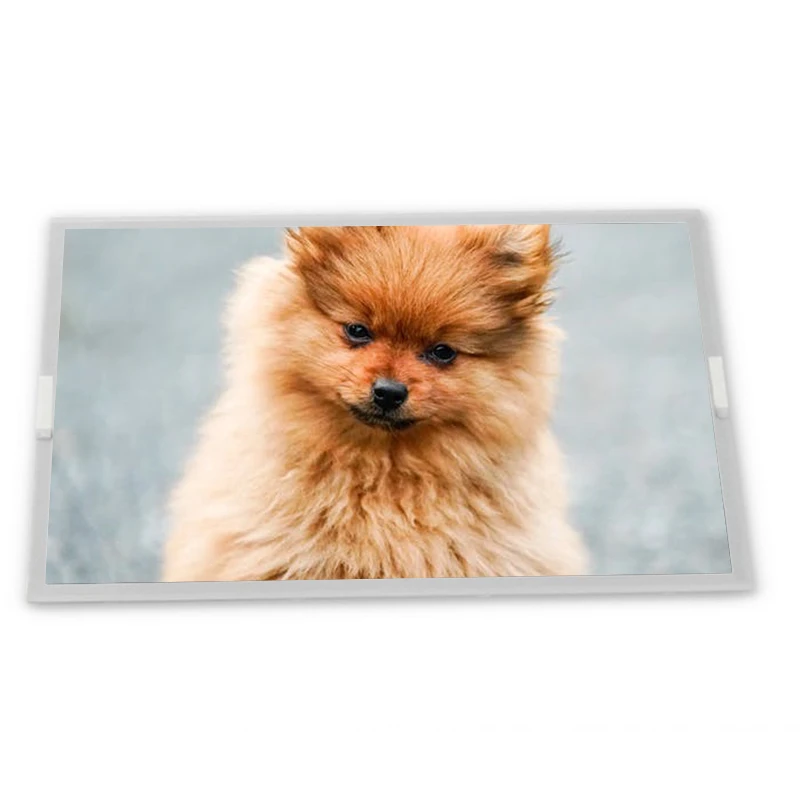 

NEW Replacement of SP14N003 5.1" 240*128 monochrome LCD Display Zhiyan supply