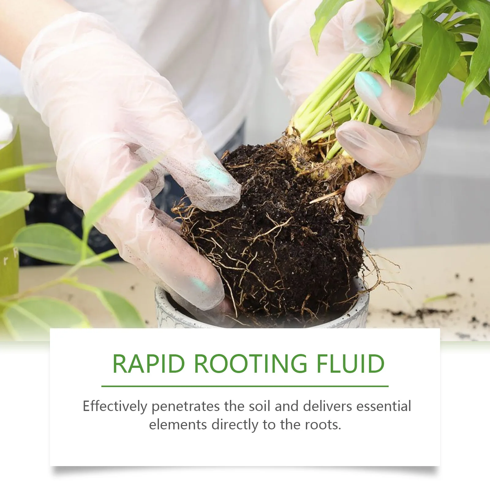 100ml Succulent Rapid Rooting Stimulator - Plant Root Hormone Booster Fertilizer, Promotes Healthy Root Development