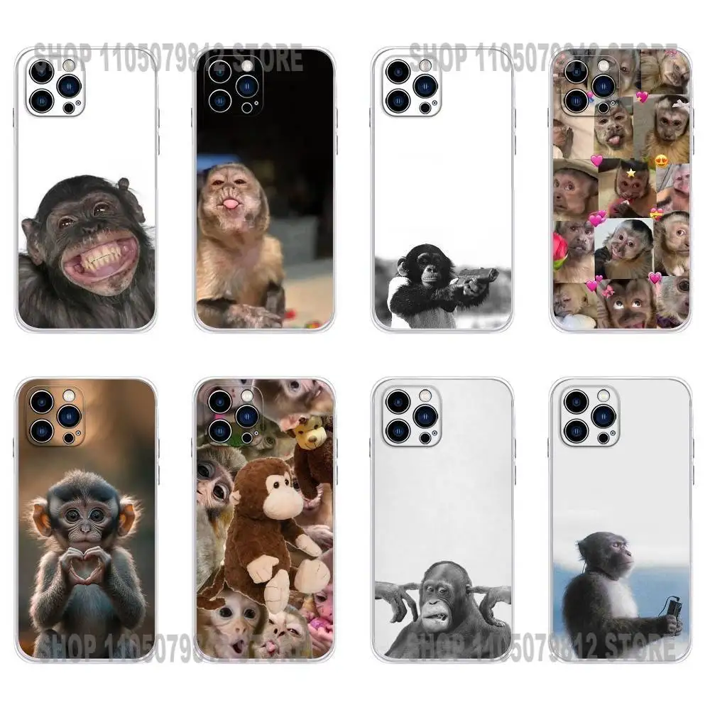 

Funny Monkey Silicone Phone Case For iPhone 17 16,15,14,13,12,11 Plus,Pro,Max,XR,Plus,E,Mini Transparent Soft Cover