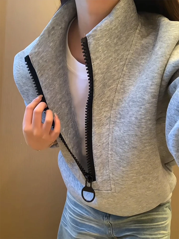 

Cleanfit Men's Zip-Up Hoodie Thiened ort Boxy American Sle Hard And Stiff Collar Jaet Winter Casual Cotton Polyester
