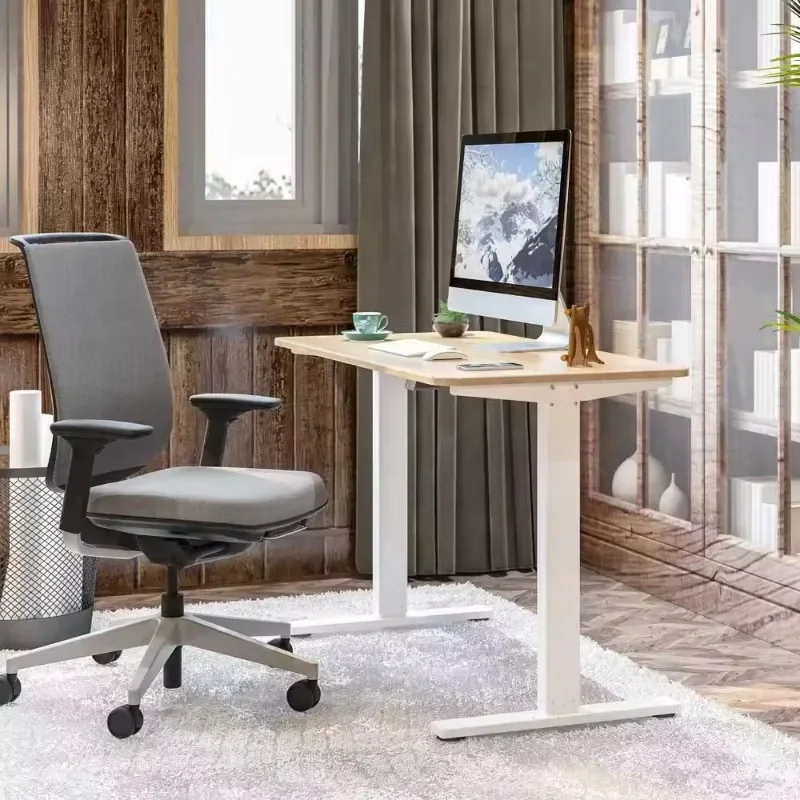 Motorized Stand Up Smart Lifting Table Adjustable Height Electric Dual Motor Desk Offical Regulable Height Desk