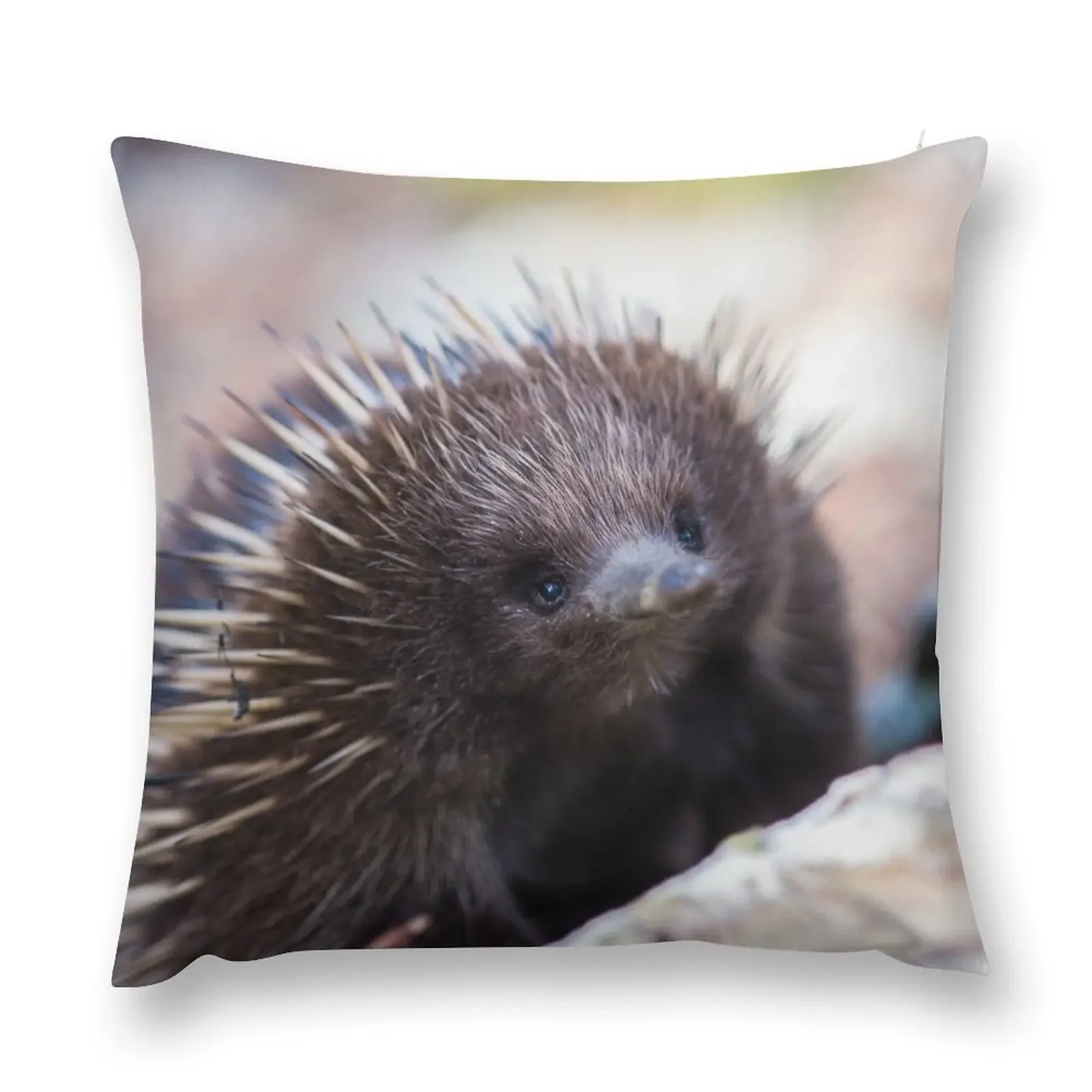 Echidna Throw Pillow Marble Cushion Cover Christmas Throw Pillows Covers ornamental pillows for living room Pillow Cases pillow