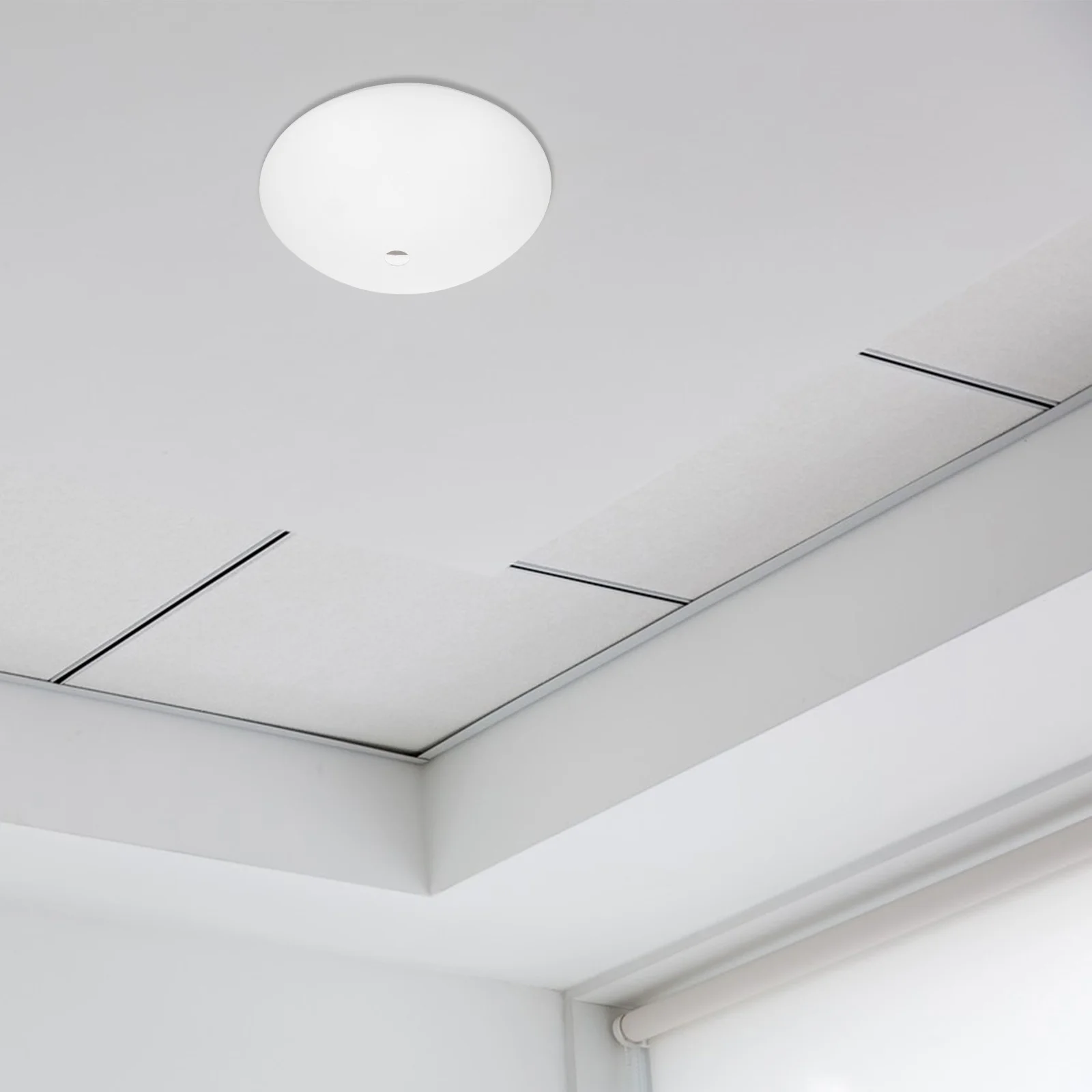 

Round Ceiling Light Cover Plastic Lampshade Replacement Circular Ceiling Lamp Shade Protector Dome Lamp Cover Round Light Shade