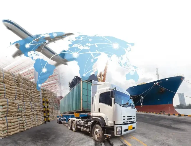 Links Para Os Subsí…