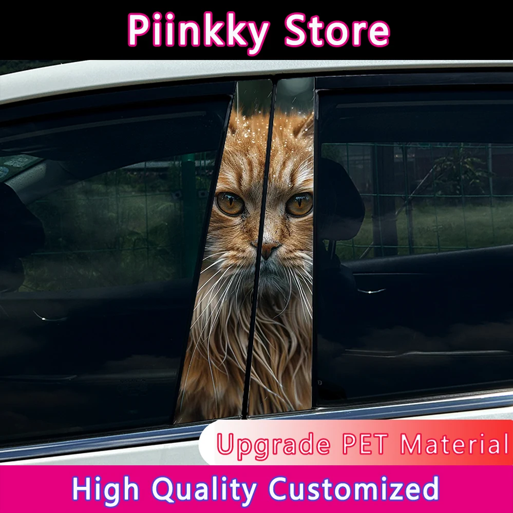 Orange Cat Car Stic…