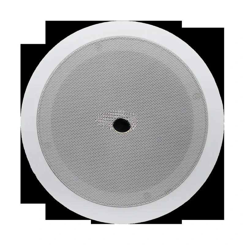 Professional 110V Ceiling Speaker 30W Public Broadcasting System for Hotel School Office Commercial Background Music