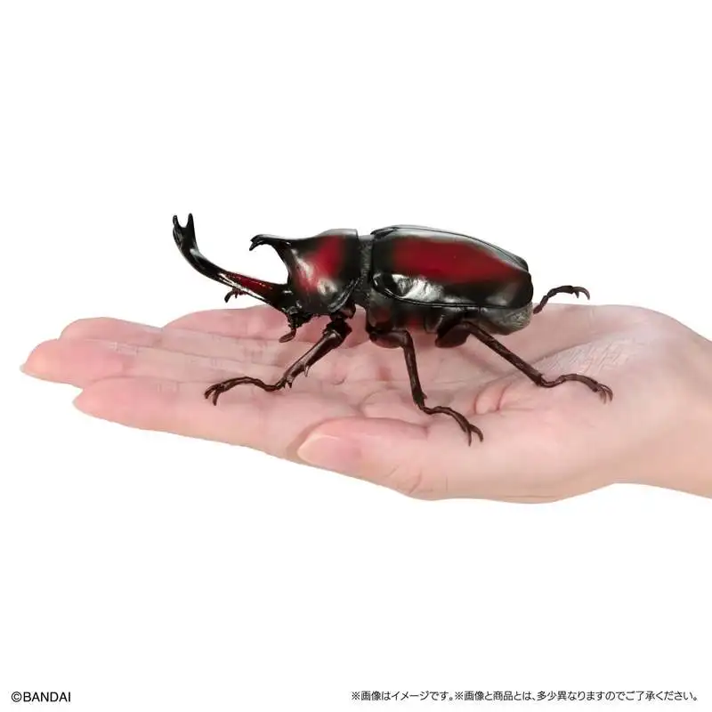 

Bandai Twisted Egg Biological Big Picture Beetle Collection 09 Unicorn Fairy Big Dipper Simulation Insect Ornament In Stock