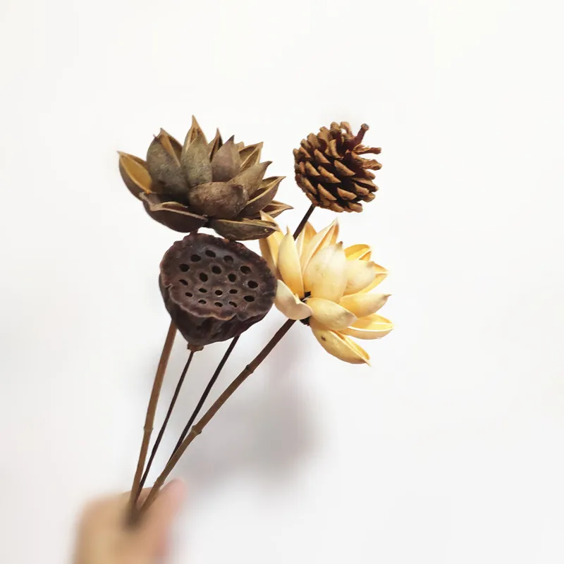 Handmade Lotus Natural Dried Flowers Farmhouse Bouquet Dried Plants Branch Fall Decorations Floral For Party Home Office Decor