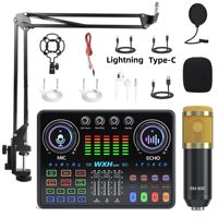 BM800 Microphone DJ20 Sound Card Podcast Equipment Live Broadcasting Music Recording Mixer Mic Kit Condenser Soundcard Set
