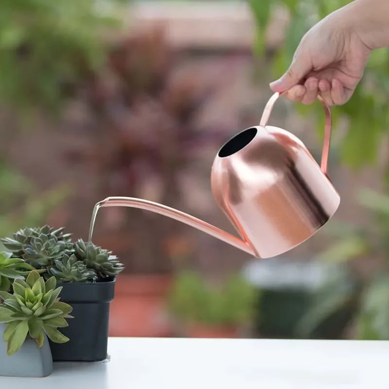 

500ml Stainless Steel Garden Watering Can gardening tools and equipment plant watering Water Bottle with Handle for flower