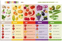 Youpinnong Healthy Food Knowledge Metal Signs Vitamins Minerals And Supplements Infographic Dietitian Reference Guide Tin Poster