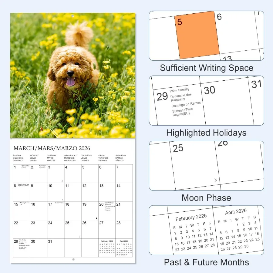 Kalender 2026 - Wandkalender van december 2025 tot december 2026 3 talen Engels Freh Spaans 2026 Kalender met vakantie M