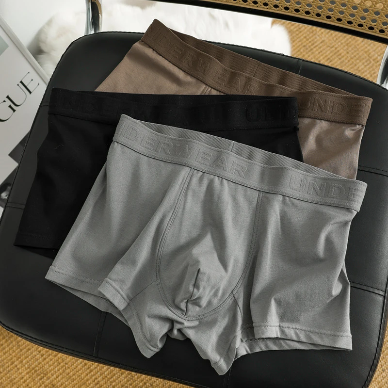 4 Pcs Men Underpants Mens Underwear Male Boxers Comfortable Breathable Boys Underwear Panties Male Boxershorts Briefs