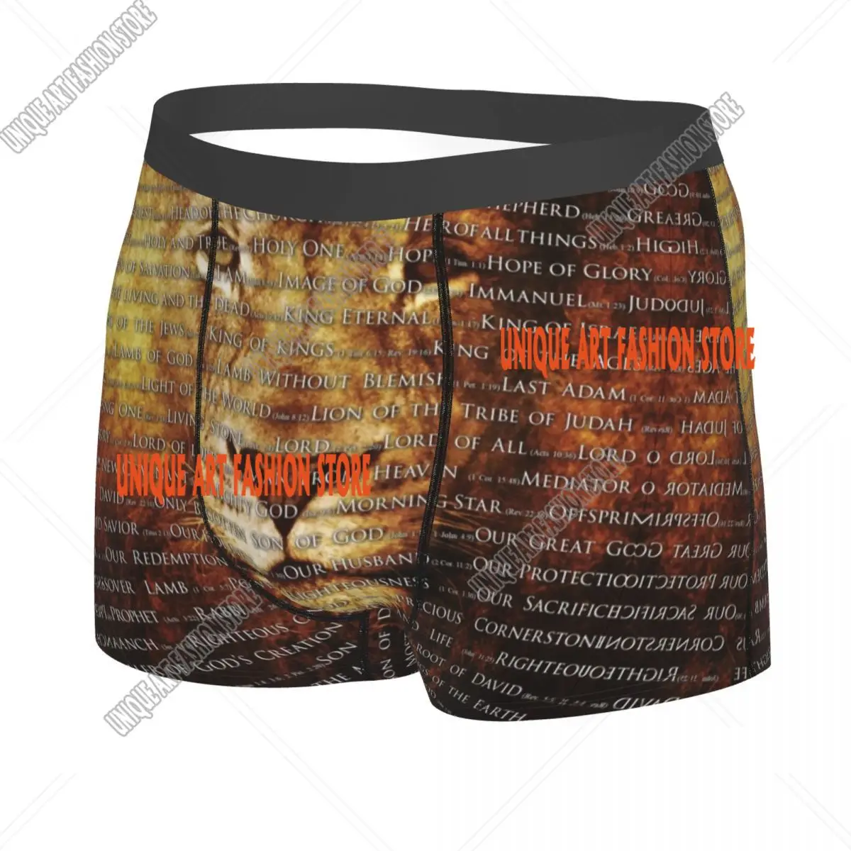 Male Cool The Names Of God Jesus Lion Underwear Christian Catholic Boxer Briefs Breathbale Shorts Panties Underpants