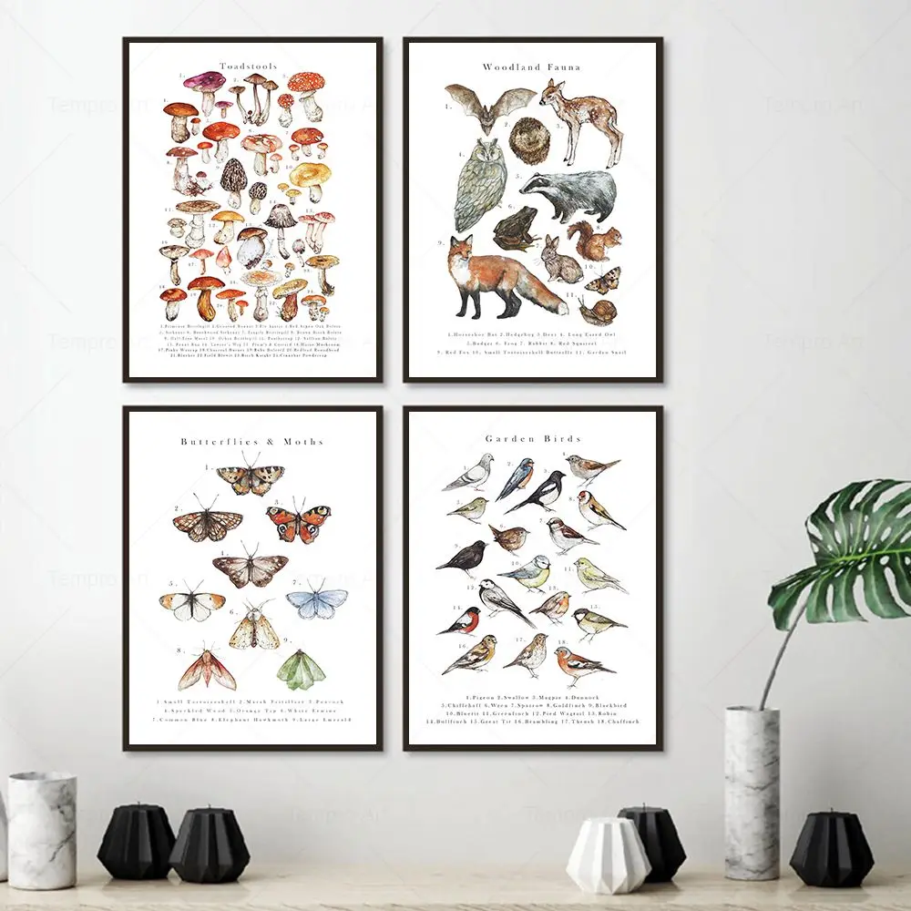 Floral Fauna & Fungi Hedgerow Animal Butterflies & Moths Birds Seasons Canvas Posters Prints Wall Pictures Kids Room Home Decor