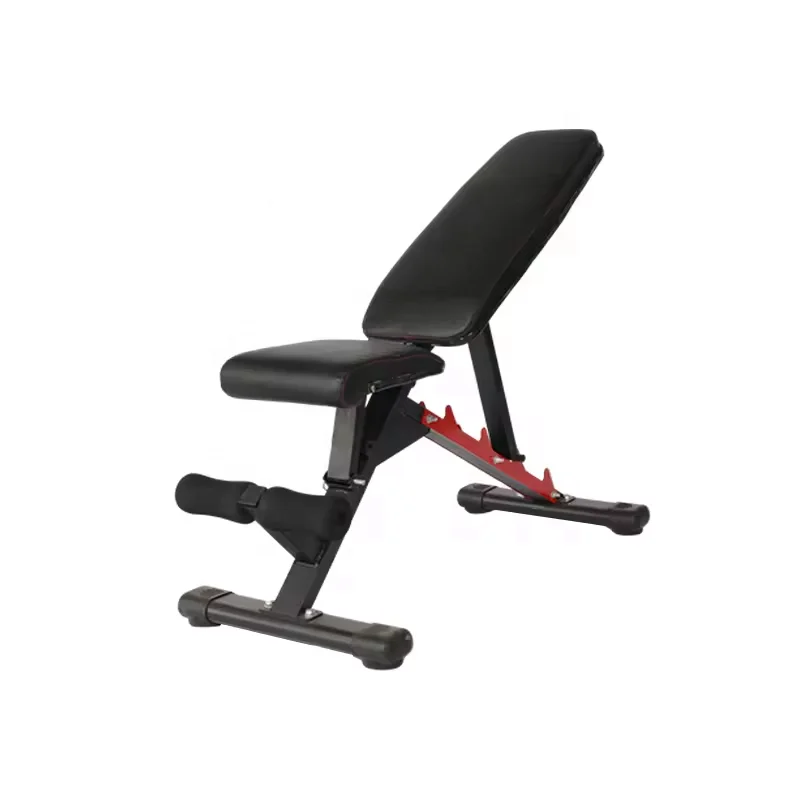 

Commercial Adjustable Metal Dumbbell Gym Training Bench Indoor Fitness Weight Bench for Bodybuilding
