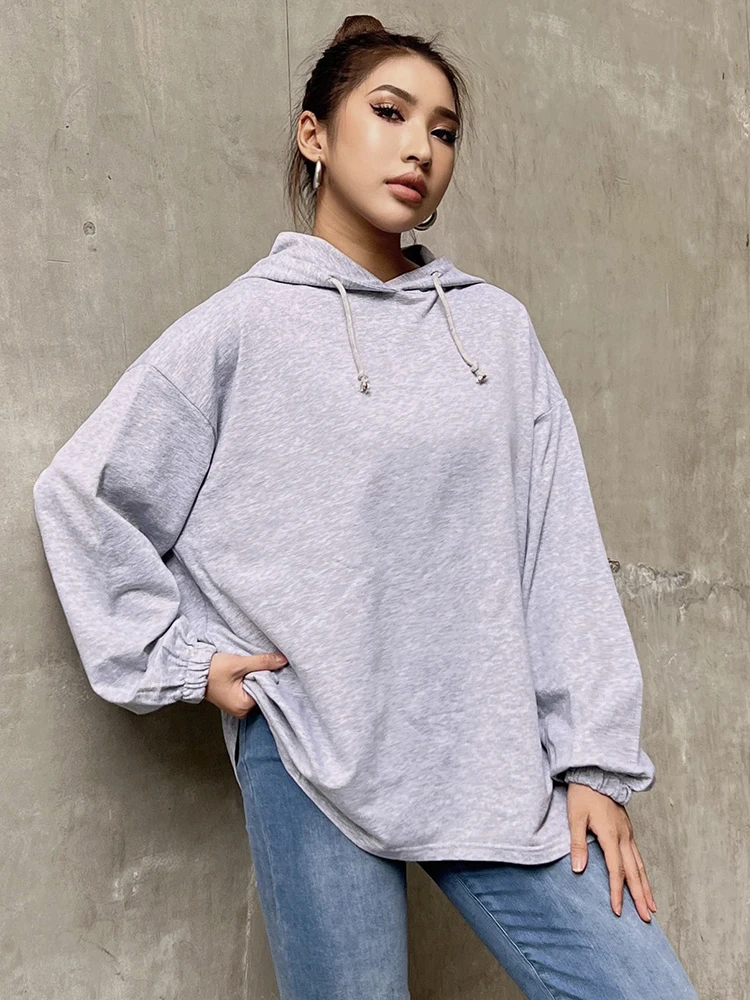 TWOTWINSTYLE Solid Loose Sweatshirt For Women Hooded Collar Long Sleeve Solid Minimalist Sweatshirts Female Autumn Clothing New