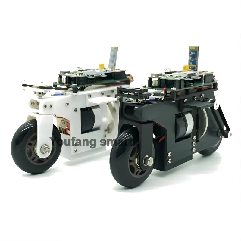 2WD RC Balance Bike Cubli Self-Balancing Flywheel 3D Printing APP Control DC Motor Motorcycle for STM32 Programmable Robot Car - Image 5