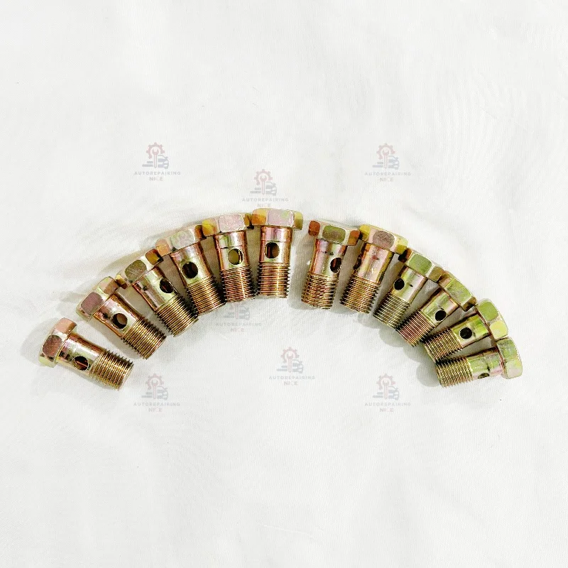 5PCS M6 M8 M10 M12 M14 M16 M18 Hollow Screw 2 Holes Diesel Engine Oil Recyle Return Tubing Hinge Hydraulic Bolt