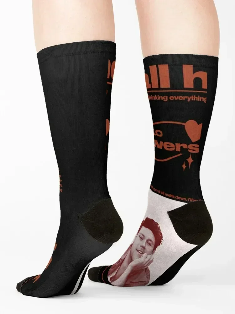 Niall Horan The Show New Album Socks halloween funny gift gym Run Women's Socks Men's